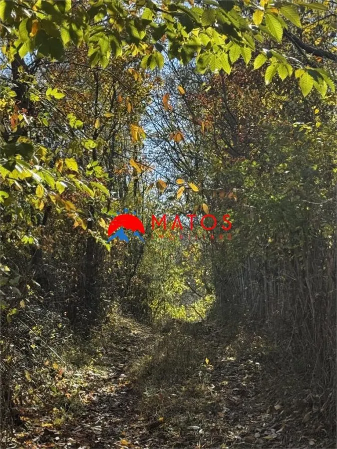Teren intravilan 6.842 mp de vanzare in Poiana Campina, vedere placuta - foto 4
