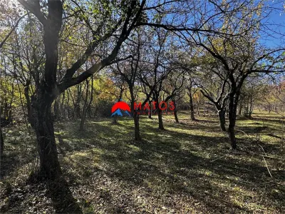Teren intravilan 6.842 mp de vanzare in Poiana Campina, vedere placuta - foto 6