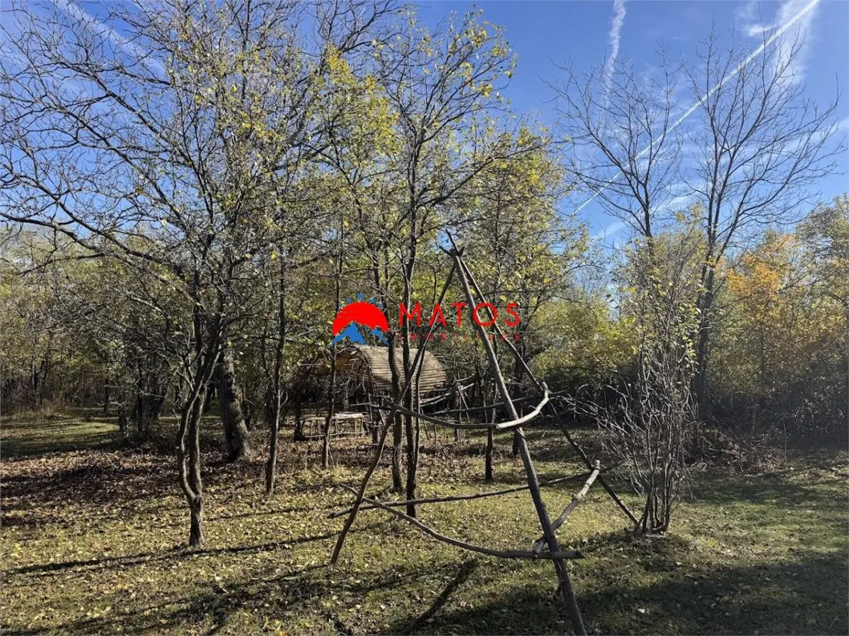 Teren intravilan 6.842 mp de vanzare in Poiana Campina, vedere placuta - foto 10