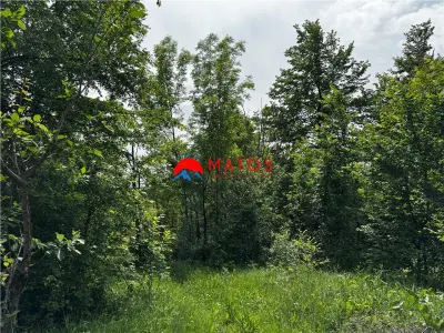 Teren intravilan 1.300 mp în Cornu de Jos, Prahova – zona linistita, utilitati aproape, pret 35.000 € - foto 6