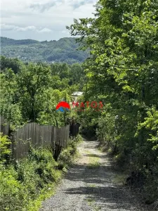 Teren intravilan 1.300 mp în Cornu de Jos, Prahova – zona linistita, utilitati aproape, pret 35.000 € - foto 7