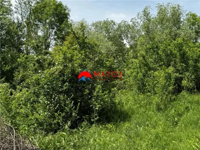 Teren intravilan 1.300 mp în Cornu de Jos, Prahova – zona linistita, utilitati aproape, pret 35.000 € - foto 8