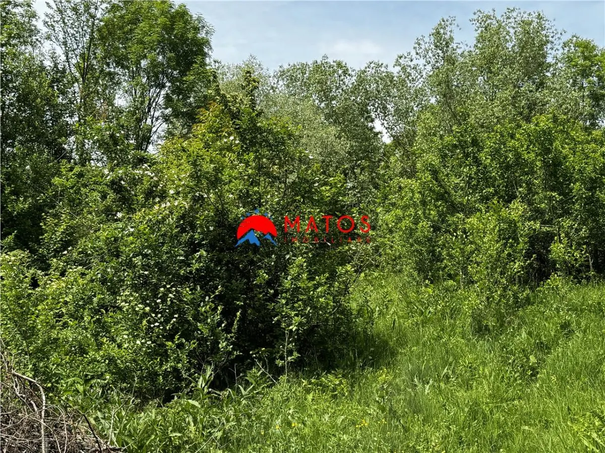Teren intravilan 1.300 mp în Cornu de Jos, Prahova – zona linistita, utilitati aproape, pret 35.000 € - foto 8