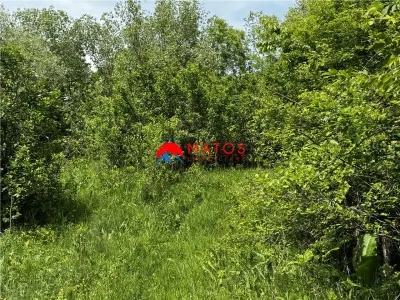 Teren intravilan 1.300 mp în Cornu de Jos, Prahova – zona linistita, utilitati aproape, pret 35.000 € - foto 10