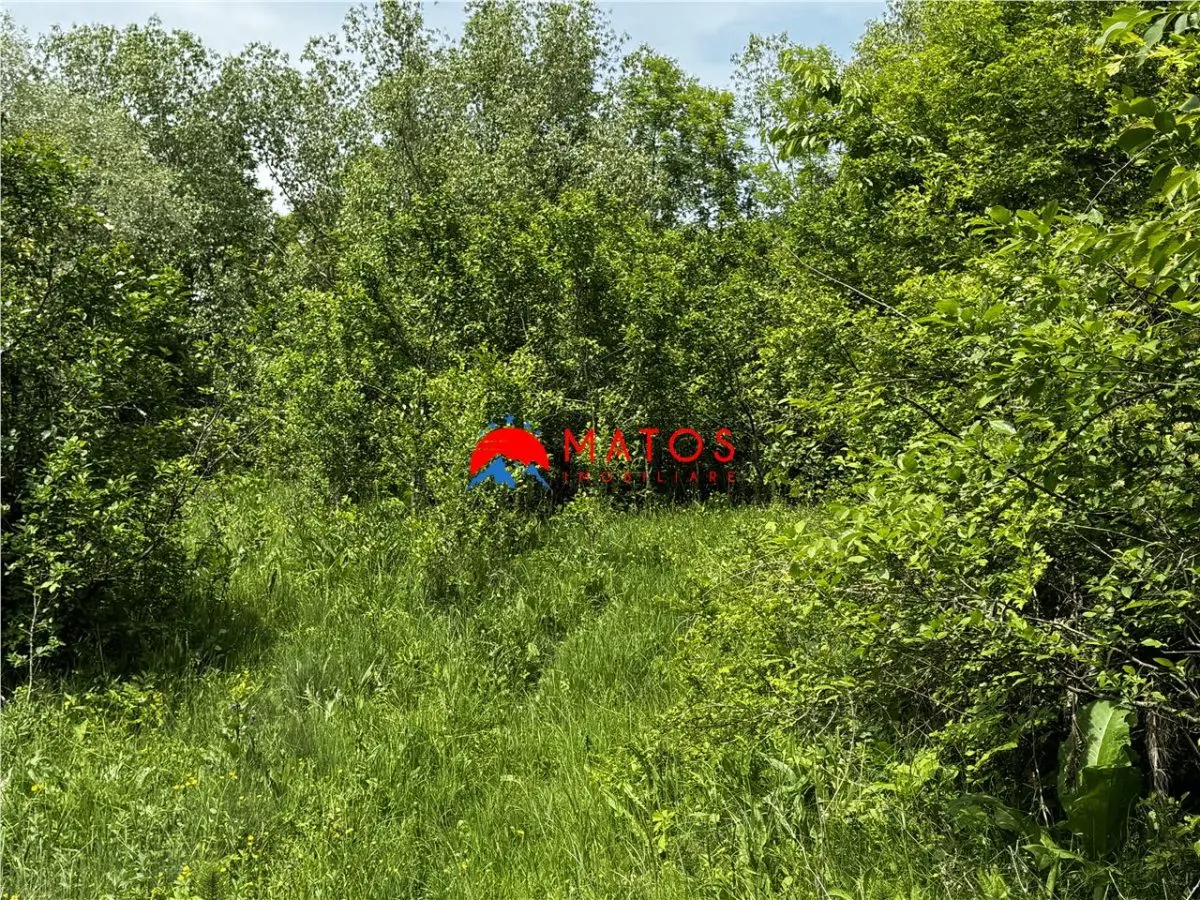 Teren intravilan 1.300 mp în Cornu de Jos, Prahova – zona linistita, utilitati aproape, pret 35.000 € - foto 10