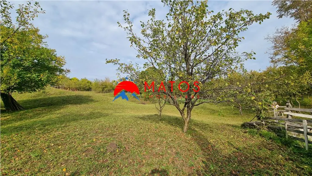 Teren intravilan 2918 mp de vânzare Talea, Prahova | 0% comision - foto 1