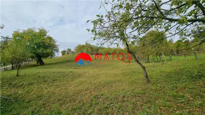 Teren intravilan 2918 mp de vânzare Talea, Prahova | 0% comision - foto 4