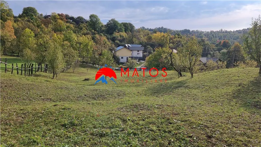 Teren intravilan 2918 mp de vânzare Talea, Prahova | 0% comision - foto 6