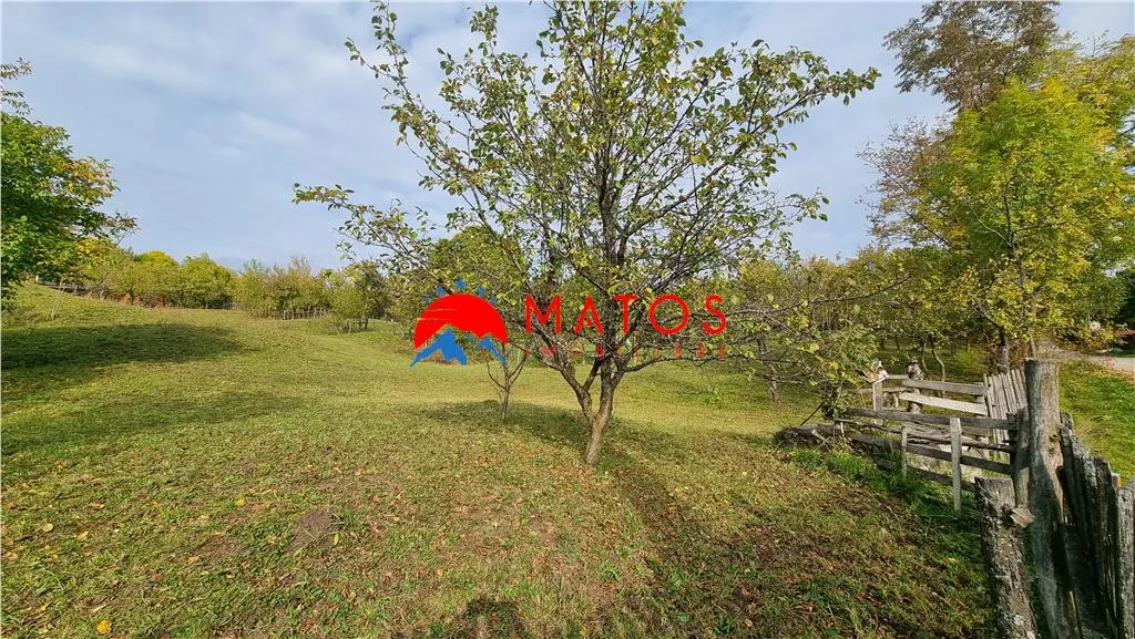 Teren intravilan 2918 mp de vânzare Talea, Prahova | 0% comision - foto 10