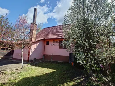 Aici incepe linistea - Casa cu gradina si foisor in Brazii Arad - foto 15