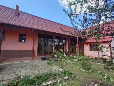 Aici incepe linistea - Casa cu gradina si foisor in Brazii Arad - foto 3