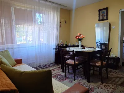 Apartament 2 camere, 45 mp, parter - Orasul Nou, Brad - foto 14