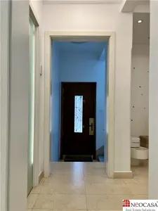 Vila reprezentativa la 2 minute de Arcul de Triumf | Curte superba - foto 21