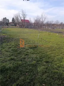 Casa tip parter zona Vadu Pasii - foto 18