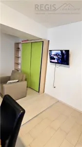 Apartament tip studio la 1 km de mall Coresi cu parcare - foto 2