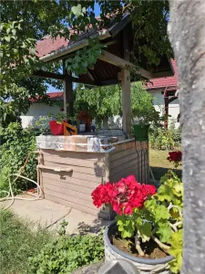 Casa tip parter + beci si teren 4684 mp in Candesti, Vernesti - foto 21