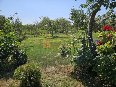 Casa tip parter + beci si teren 4684 mp in Candesti, Vernesti - foto 24