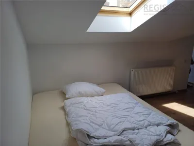 Casa moderna 4 camere cu gradina si loc de parcare, Ultracentral - foto 13