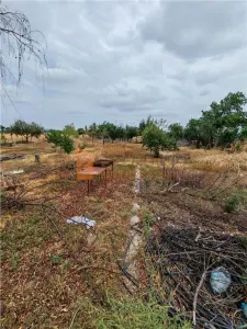 Casa P+M cu teren 2098 mp in Potoceni Buzau - foto 16