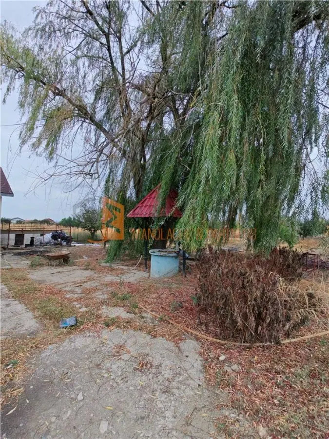 Casa P+M cu teren 2098 mp in Potoceni Buzau - foto 17
