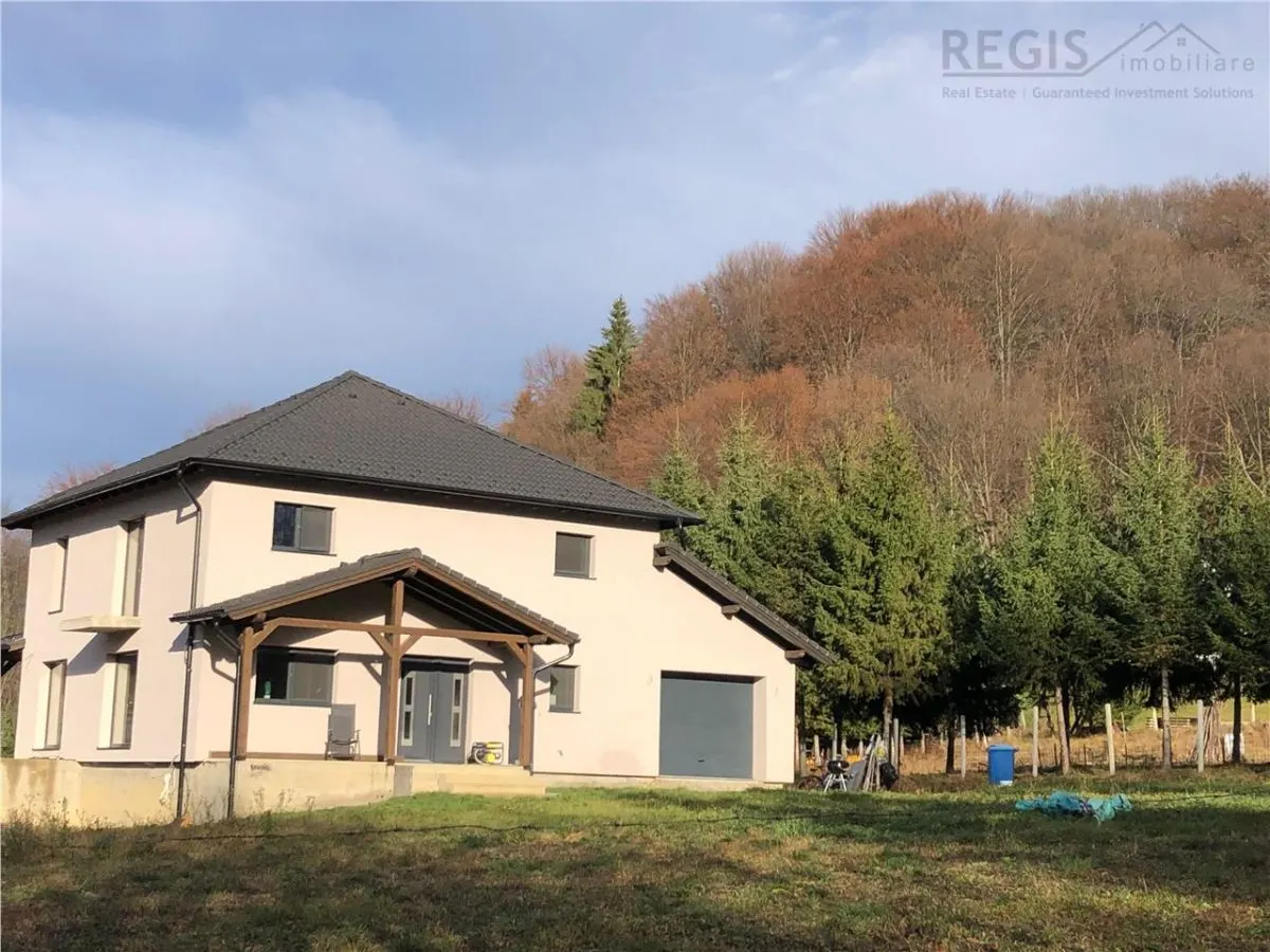 Casa moderna in mijlocul naturii cu lac, Cheisoara - foto 1