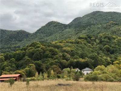 Casa moderna in mijlocul naturii cu lac, Cheisoara - foto 2