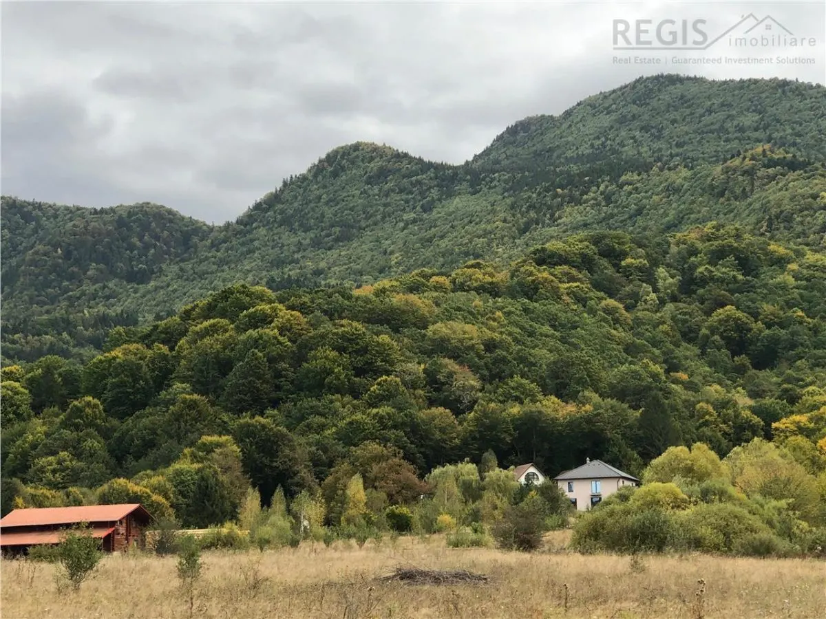 Casa moderna in mijlocul naturii cu lac, Cheisoara - foto 2