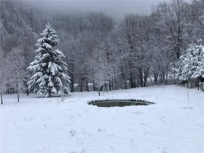 Casa moderna in mijlocul naturii cu lac, Cheisoara - foto 3