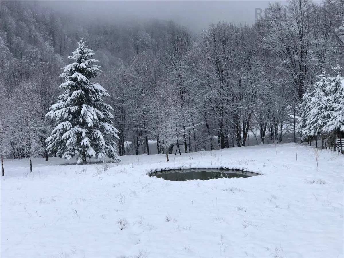 Casa moderna in mijlocul naturii cu lac, Cheisoara - foto 3