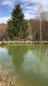Casa moderna in mijlocul naturii cu lac, Cheisoara - foto 8