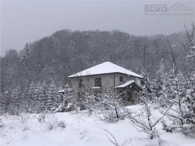 Casa moderna in mijlocul naturii cu lac, Cheisoara - foto 9