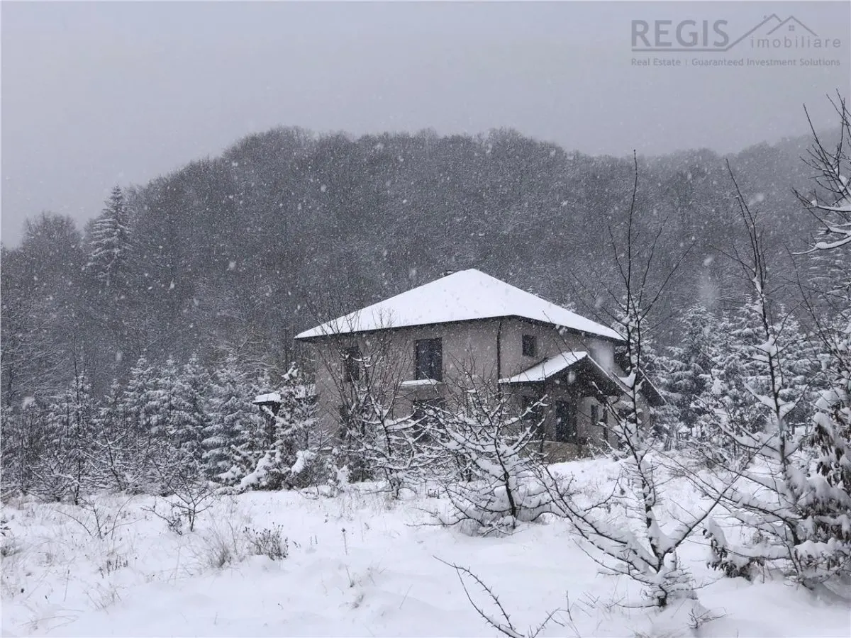 Casa moderna in mijlocul naturii cu lac, Cheisoara - foto 9
