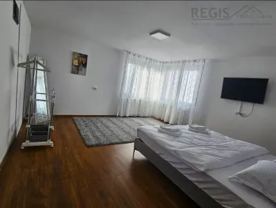Casa 5 camere de inchiriat in Florilor - foto 6