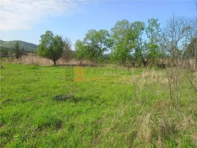 Teren intravilan si extravilan zona Viperesti - foto 2