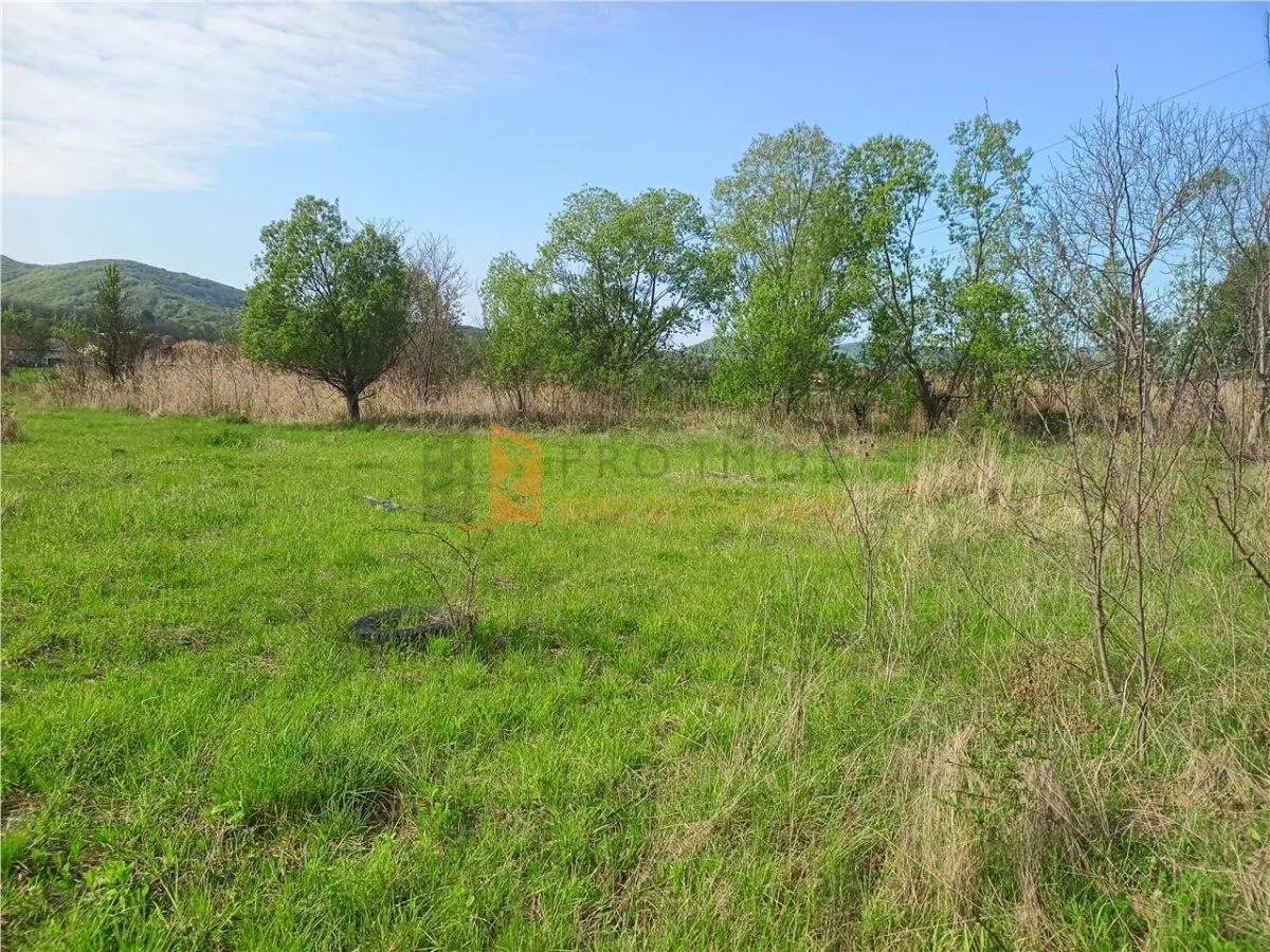 Teren intravilan si extravilan zona Viperesti - foto 2