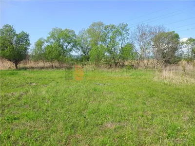 Teren intravilan si extravilan zona Viperesti - foto 3