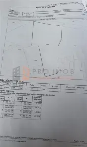 Teren intravilan zona Tintesti, jud. Buzau - foto 4