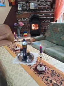 Oportunitate de investitie. Pensiune de vanzare la Vistisoara. - foto 23