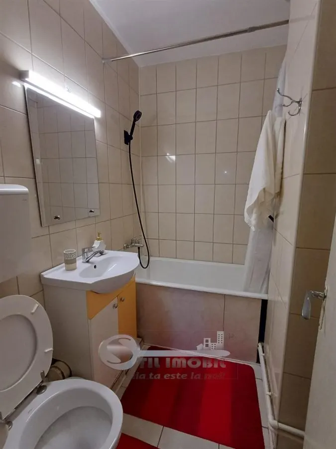 Apartament 3 camere decomandat, Mircea – Str. Cerna, disponibil imediat - foto 14