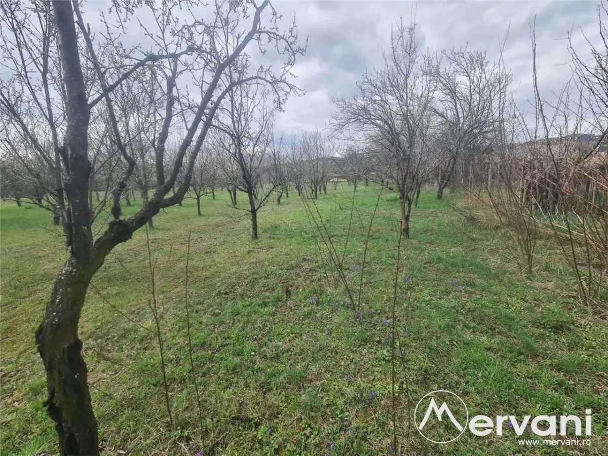 Teren de vanzare in Brebu - Zona Brebu Megiesesc - foto 10