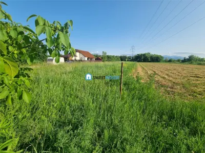 Teren intravilan cu utilitati Stupini Brasov - Brasov