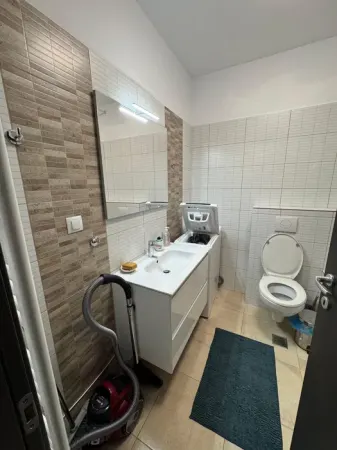 Apartament 2 Camere Tudor Vladimirescu - 550 euro - foto 5