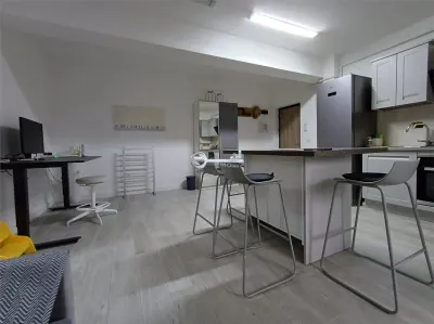 Ap 2 camere modern, prima chirie, parcare și 2 balcoane – Tătărași - Iasi