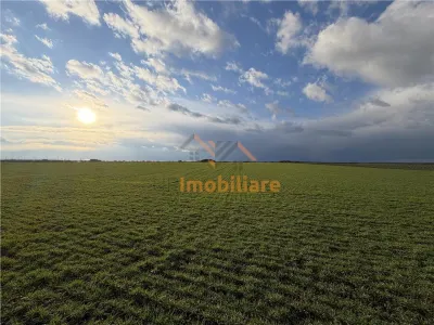 TEREN INTRAVILAN 24457 MP | 80 ML FRONT STRADAL | ORADEA | BIHOR - foto 2
