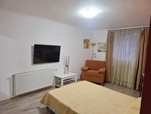 Apartament 1 camera COPOU (LICEUL NEGRUZZI) - 399 EURO - foto 2