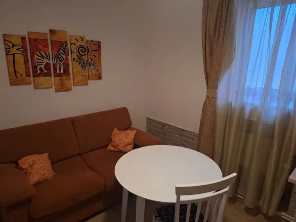 Apartament 1 camera COPOU (LICEUL NEGRUZZI) - 399 EURO - foto 5