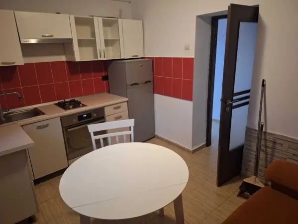 Apartament 1 camera COPOU (LICEUL NEGRUZZI) - 399 EURO - foto 6