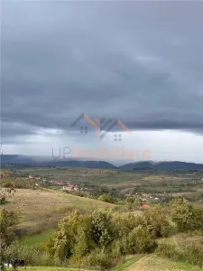 TEREN | 9341 MP | BALNACA GROSI | BIHOR - foto 11