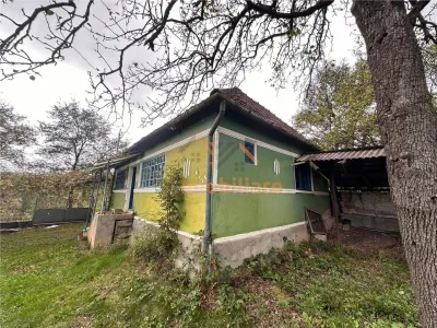 TEREN | 9341 MP | BALNACA GROSI | BIHOR - foto 3