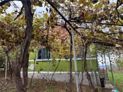 TEREN | 9341 MP | BALNACA GROSI | BIHOR - foto 4